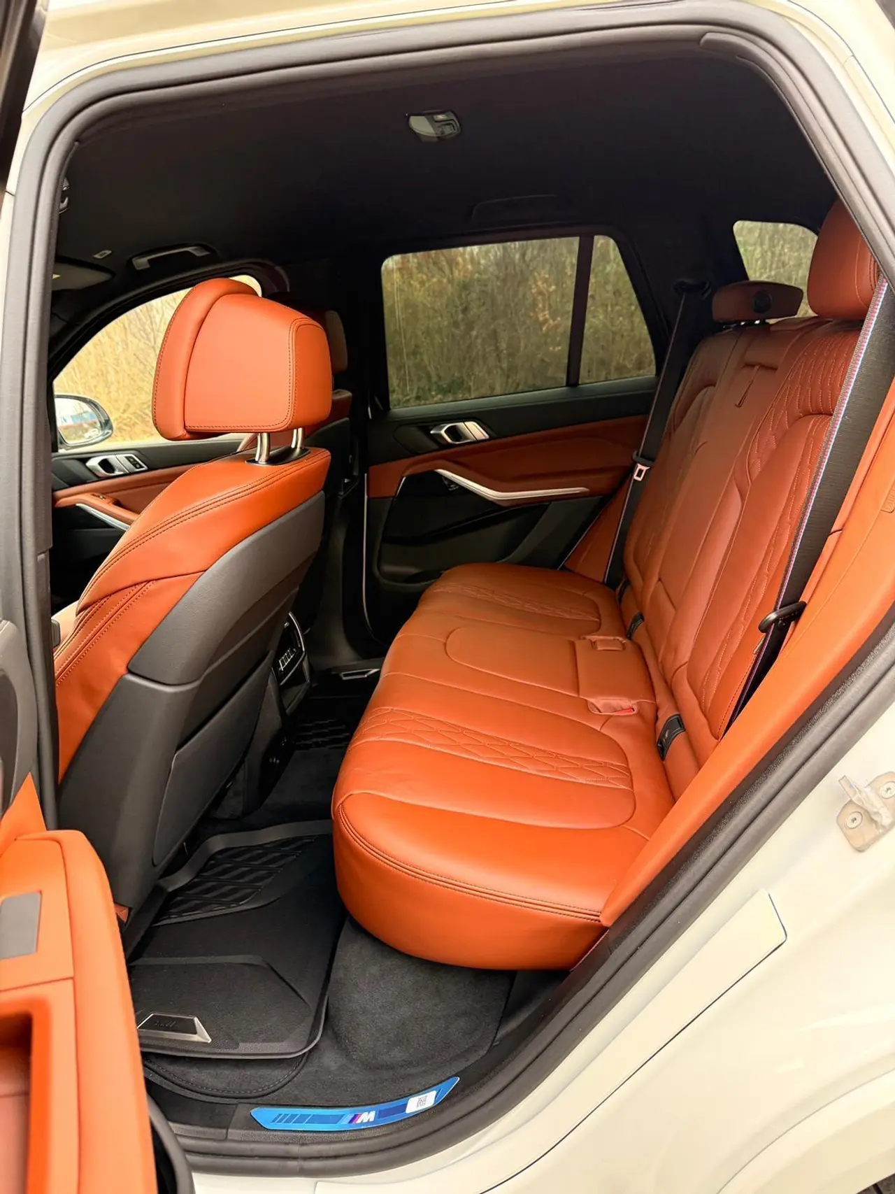 BMW X5 M60i, 4,4l/V8, 530Hp, Factory Armored VR6 2026 – 9